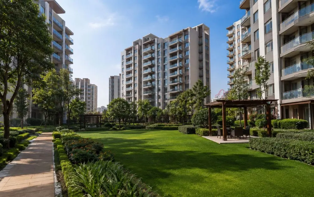 How City Focus Realty Helps You Buy
